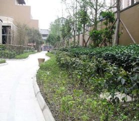 西城公馆2室1厅东北