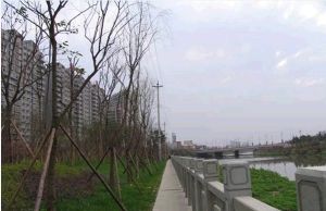 育才竹岛3室2厅东南南