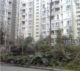 东方新城一期4室1厅东南