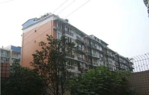 槐树苑A区1室1厅南东南