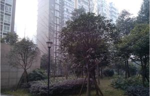 金牛花园3室2厅东南