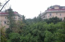 御都花园别墅 5室1厅 东南