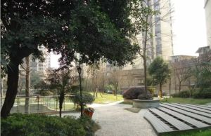 三九绿城 3室1厅 东南