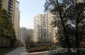 三九绿城3室2厅西南