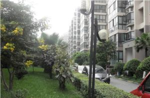 瑞通凯域 3室2厅 西北