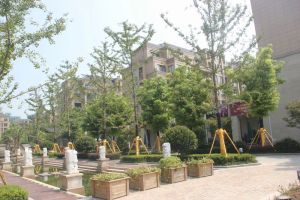 袍江世纪街南岸花园东区一套户型不错的洋房