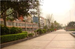 美洲花园棕榈湾3室2厅东