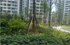 时代豪庭四期3室1厅西