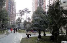 中铁瑞景茗城3室1厅西南
