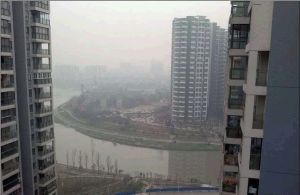 东苑D区3室1厅南