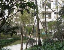 麓山国际茵特拉肯B区4室1厅南