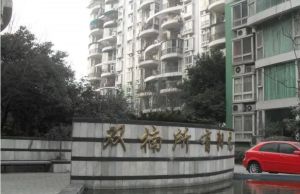 双楠所有阳光1室1厅东南