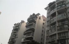 双楠所有阳光 2室1厅 东北