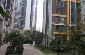 珠江国际花园4室2厅东南