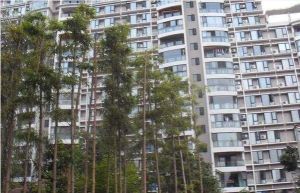 伊甸阳光3室1厅东