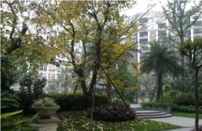 美丽南庭 3室1厅 南