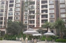 美丽南庭 1室1厅 东