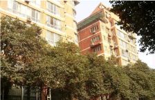 上河新城 1室1厅 西北