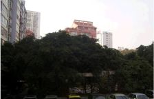 上河新城 2室1厅 东