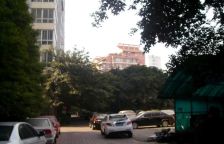 上河新城 3室1厅 南 东北