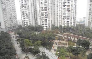 沙河源上金府2室1厅东南