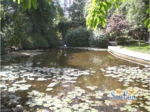 溢阳绿城3室2厅南