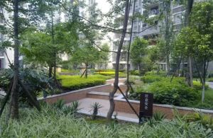 金楠国际3室1厅西南