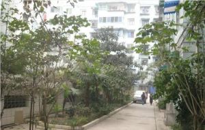 双楠二区2室1厅南
