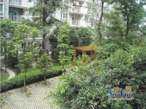 长融一代天骄3室2厅南