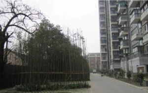 宝泰家园2室1厅东北