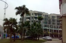 锦官丽城亲水湾 4室2厅 南