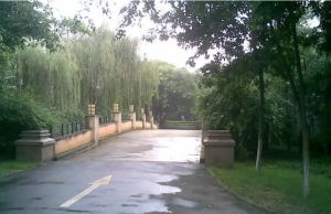 锦官丽城亲水湾3室2厅南