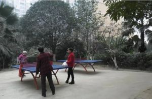 西线阳光2室2厅东南