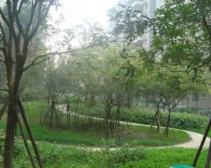 西财学府尚郡4室2厅东南