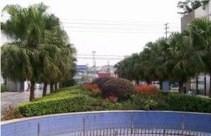 香格里拉花园1室1厅南