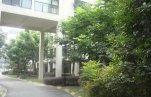 普罗雅庭 5室2厅 东南