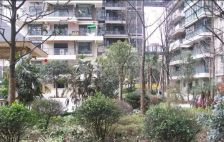 78号观邸 2室1厅 东南