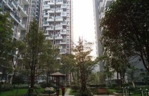 华宇阳光水岸3室1厅西北