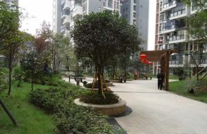 华宇阳光水岸2室1厅西南