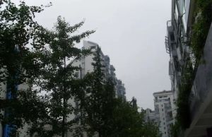 锦官秀城南区 3室2厅 南 东