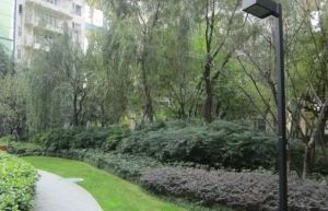 远大都市风景三期2室1厅东南