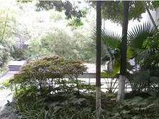 春天花园 4室2厅 东南