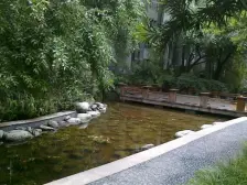 春天花园 4室2厅 西南