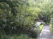 春天花园 3室2厅 南