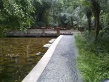 春天花园 3室2厅 北