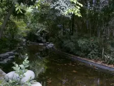 春天花园 4室2厅 南