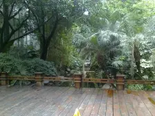 春天花园 3室2厅 南