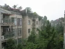 春天花园 3室2厅 东南