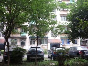 玉寿巷3号2室1厅东南