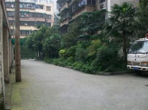 玉寿巷3号2室1厅东南西北